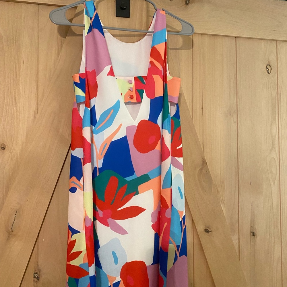 Crosby by Mollie Burch dress